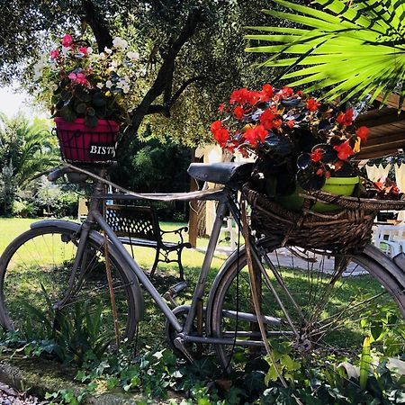 Villa Berghella Montesilvano Marina Dış mekan fotoğraf